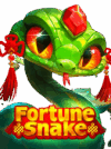 Best Time to Play Fortune Snake